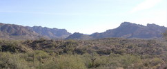 photo thumbnail #12