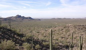 photo thumbnail #13