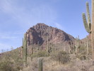 photo thumbnail #15