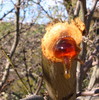 photo thumbnail #1