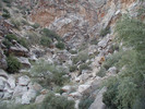 photo thumbnail #10