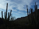 photo thumbnail #3