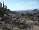 photo thumbnail #4