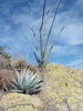 photo thumbnail #11