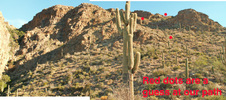 photo thumbnail #2