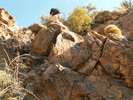 photo thumbnail #3