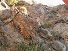 photo thumbnail #4