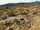 photo thumbnail #6