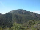 photo thumbnail #3