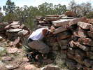 photo thumbnail #9