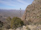 photo thumbnail #10