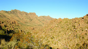 photo thumbnail #3