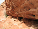 photo thumbnail #4