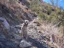 photo thumbnail #6