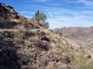 photo thumbnail #7