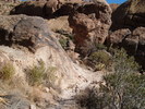 photo thumbnail #4