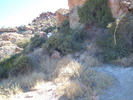 photo thumbnail #11