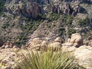 photo thumbnail #12