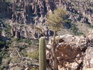 photo thumbnail #13