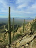 photo thumbnail #8
