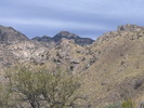 photo thumbnail #2