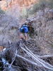 photo thumbnail #11