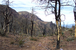 photo thumbnail #14