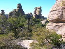 photo thumbnail #3