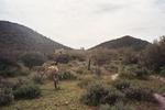 photo thumbnail #8