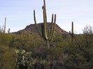 photo thumbnail #3