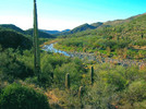photo thumbnail #2