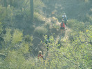 photo thumbnail #7