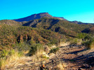 photo thumbnail #8