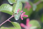photo thumbnail #12