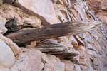 photo thumbnail #13