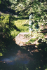 photo thumbnail #15