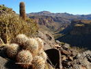 photo thumbnail #11