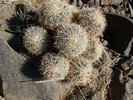 photo thumbnail #12