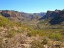 photo thumbnail #14
