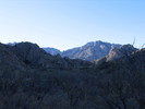 photo thumbnail #1