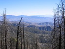 photo thumbnail #8