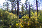 photo thumbnail #2