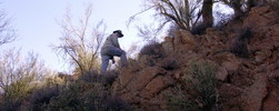photo thumbnail #11