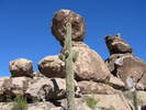 photo thumbnail #5