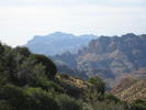 photo thumbnail #8