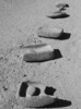 photo of comment