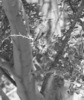 photo of comment