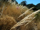 photo thumbnail #10