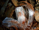 photo thumbnail #12
