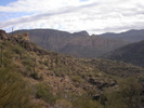 photo thumbnail #2